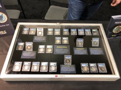 Perfection Display